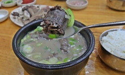 순대국 쳐돌이들은 인정 안하는 순대국..JPG - 웃긴자료 ‥‥‥‥‥、 - 도탁스 (DOTAX) 순대국 쳐돌이들은 인정 안하는 순대국..JPG