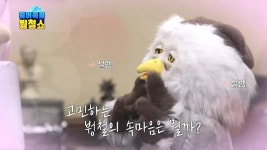 펭수 한테 선딜 박는 EBS 붱철이 - 악플달면 쩌리쩌려버려 - ＊여성시대＊ 차분한 20대들의 알흠다운 공간 펭수 한테 선딜 박는 EBS 붱철이