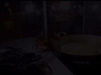 게가 산 채로 뜨거운 기름에 빠짐…gif - 인스티즈(instiz) 이슈 카테고리 게가 산 채로 뜨거운 기름에 빠짐…gif