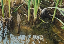 미쳐버린 한국 예술계 근황 ㅋㅋㅋㅋㅋ - 웃긴자료 ‥‥‥‥‥、 - 도탁스 (DOTAX) 미쳐버린 한국 예술계 근황 ㅋㅋㅋㅋㅋ