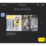 강아지 유치원 반장 선거 투표 방법 ㅋㅋ - 웃긴자료 ‥‥‥‥‥、 - 도탁스 (DOTAX) 강아지 유치원 반장 선거 투표 방법 ㅋㅋ