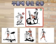 무릎 건강에 좋은 운동 - 악플달면 쩌리쩌려버려 - ＊여성시대＊ 차분한 20대들의 알흠다운 공간 무릎 건강에 좋은 운동