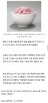 한국의 과학자들이 줄기세포로 벌인 일 - 웃긴자료 ‥‥‥‥‥、 - 도탁스 (DOTAX) 한국의 과학자들이 줄기세포로 벌인 일