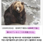 일본 곰목장의 곰 프로필 - 웃긴자료 ‥‥‥‥‥、 - 도탁스 (DOTAX) 일본 곰목장의 곰 프로필