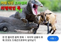 코모도 왕도마뱀과 일본이 그를 대하는 자세 - 웃긴자료 ‥‥‥‥‥、 - 도탁스 (DOTAX) 코모도 왕도마뱀과 일본이 그를 대하는 자세