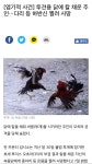 닭에게 공격당해 사망 - 웃긴자료 ‥‥‥‥‥、 - 도탁스 (DOTAX) 닭에게 공격당해 사망