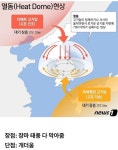 지금 전 세계를 강타중인 열돔 현상 - 웃긴자료 ‥‥‥‥‥、 - 도탁스 (DOTAX) 지금 전 세계를 강타중인 열돔 현상