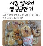 시장 빵집 가면 제일 궁금한 거 - 웃긴자료 ‥‥‥‥‥、 - 도탁스 (DOTAX) 시장 빵집 가면 제일 궁금한 거