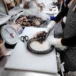 수원 명물 순대&순대볶음.GIF - 악플달면 쩌리쩌려버려 - ＊여성시대＊ 차분한 20대들의 알흠다운 공간 수원 명물 순대&순대볶음.GIF