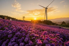 거창 별바람언덕 - 웃긴자료 ‥‥‥‥‥、 - 도탁스 (DOTAX) 거창 별바람언덕