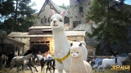 검은사막에 나온 라마 - 웃긴자료 ‥‥‥‥‥、 - 도탁스 (DOTAX) 검은사막에 나온 라마