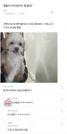 ??? :: 얘들아 우리강아지 못생김? - 웃긴자료 ‥‥‥‥‥、 - 도탁스 (DOTAX) ??? :: 얘들아 우리강아지 못생김?