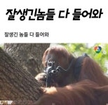 잘생긴 놈들 다 들어와!! - 웃긴자료 ‥‥‥‥‥、 - 도탁스 (DOTAX) 잘생긴 놈들 다 들어와!!