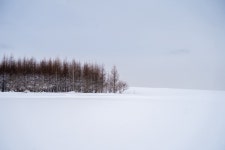 지난 주말 북해도 사진 몇 장 - 자유게시판 ‥‥‥‥、 - 도탁스 (DOTAX) 지난 주말 북해도 사진 몇 장