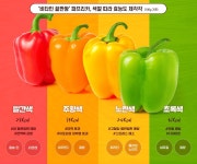비타민 끝판왕 파프리카, 색깔 따라 효능도 제각각 - 웃긴자료 ‥‥‥‥‥、 - 도탁스 (DOTAX) 비타민 끝판왕 파프리카, 색깔 따라 효능도... 