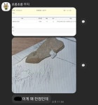 현대미술의 탄생.jpg - 웃긴자료 ‥‥‥‥‥、 - 도탁스 (DOTAX) 현대미술의 탄생.jpg