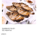 인지도 없는 생선구이 원탑 - 악플달면 쩌리쩌려버려 - ＊여성시대＊ 차분한 20대들의 알흠다운 공간 인지도 없는 생선구이 원탑