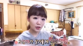 [스압주의] 일본인 캣맘 유튜버 1편 - 포크레인으로 마당 갈아엎음 - 인스티즈(instiz) 이슈 카테고리 [스압주의] 일본인 캣맘 유튜버 1편... 