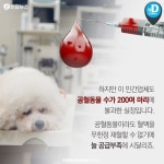 요즘 동물병원 근황 - 웃긴자료 ‥‥‥‥‥、 - 도탁스 (DOTAX) 요즘 동물병원 근황