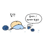 망곰 카톡 테마 - 웃긴자료 ‥‥‥‥‥、 - 도탁스 (DOTAX) 망곰 카톡 테마