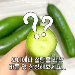 gs25 오이피클 신상.jpg - 웃긴자료 ‥‥‥‥‥、 - 도탁스 (DOTAX) gs25 오이피클 신상.jpg