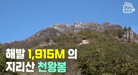 지리산 정상을 하루 3번이나 왕복하는 사람 - 웃긴자료 ‥‥‥‥‥、 - 도탁스 (DOTAX) 지리산 정상을 하루 3번이나 왕복하는 사람