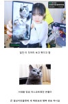 애완묘 은돌이 사별 후 1년만에 고양이 입양 결심한 치지직... - 도탁스 (DOTAX) 애완묘 은돌이 사별 후 1년만에 고양이 입양 결심한 치지직... 