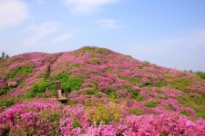 경주, 안성, 남원, 정읍의 꽃평선 - 웃긴자료 ‥‥‥‥‥、 - 도탁스 (DOTAX) 경주, 안성, 남원, 정읍의 꽃평선
