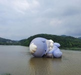 태풍맞고 기절한 경남 진주시 마스코트 하모 - 웃긴자료 ‥‥‥‥‥、 - 도탁스 (DOTAX) 태풍맞고 기절한 경남 진주시 마스코트 하모