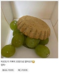 타르트가 거북이 모양으로 왔어요🐢 - 악플달면 쩌리쩌려버려 - ＊여성시대＊ 차분한 20대들의 알흠다운 공간 타르트가 거북이 모양으로 왔어요🐢