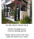 저층 특화 서비스 아파트 - 웃긴자료 ‥‥‥‥‥、 - 도탁스 (DOTAX) 저층 특화 서비스 아파트