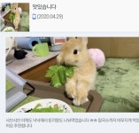 만족도 최상인 샤브샤브 배달 리뷰 - 웃긴자료 ‥‥‥‥‥、 - 도탁스 (DOTAX) 만족도 최상인 샤브샤브 배달 리뷰