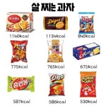 살찌는과자 - 웃긴자료 ‥‥‥‥‥、 - 도탁스 (DOTAX) 살찌는과자