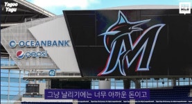 마이애미 고우석 DFA 관련 - 웃긴자료 ‥‥‥‥‥、 - 도탁스 (DOTAX) 마이애미 고우석 DFA 관련
