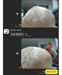 염색 잘됐네요.jpg - 웃긴자료 ‥‥‥‥‥、 - 도탁스 (DOTAX) 염색 잘됐네요.jpg