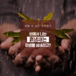 비오는 날 맡을 수 있는 흙냄새인 흙내음의 정체.jpg - 웃긴자료... - 도탁스 (DOTAX) 비오는 날 맡을 수 있는 흙냄새인 흙내음의 정체.jpg