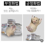 부정화법과 긍정화법 차이 - 웃긴자료 ‥‥‥‥‥、 - 도탁스 (DOTAX) 부정화법과 긍정화법 차이