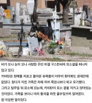 더쿠 - 6년간 묘소를 지킨 충견