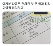 귀여운 유치원 첫주 일과 - 웃긴자료 ‥‥‥‥‥、 - 도탁스 (DOTAX) 귀여운 유치원 첫주 일과