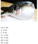 생태계 최상위 포식자 인간 - 웃긴자료 ‥‥‥‥‥、 - 도탁스 (DOTAX) 생태계 최상위 포식자 인간