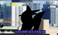 마이애미 고우석 DFA 관련 - 웃긴자료 ‥‥‥‥‥、 - 도탁스 (DOTAX) 마이애미 고우석 DFA 관련