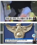 인형 200개 뽑아간 달인을 고소한 점주 - 웃긴자료 ‥‥‥‥‥、 - 도탁스 (DOTAX) 인형 200개 뽑아간 달인을 고소한 점주