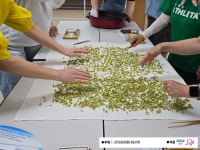 🌼 [장애인 평생학습] 꽃차소믈리에 10회차 – 캐모마일 꽃차... 성남농아인협회 🌼 [장애인 평생학습] 꽃차소믈리에 10회차 – 캐모마일 꽃차