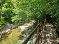 칠선계곡에서 여름을 잊어보다 - 사진,그림 자료실 - 책을 읽어주는 남자 칠선계곡에서 여름을 잊어보다