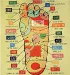 🦶 건강에 최고로 좋은 발 마사지 🦶 - ………해월 ˚ 사랑 - 좋은글과차한잔의여유 🦶 건강에 최고로 좋은 발 마사지 🦶