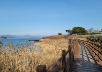 [1월11일] 순천만갈대길 (남파랑길 61코스) - [1월11일] 순천 남도삼백리길 1코스 순천만갈대길 - 청주맑은산악회 [1월11일] 순천만갈대길... 