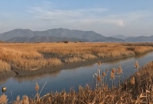 [1월11일] 순천만갈대길 (남파랑길 61코스) - [1월11일] 순천 남도삼백리길 1코스 순천만갈대길 - 청주맑은산악회 [1월11일] 순천만갈대길... 