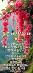 일요일,카톡인사 - ‥‥ⓔ미지 ♡ 자료실 - 향기있는 좋은글 향기있는 좋은글