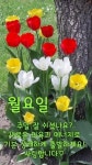 월요일,카톡인사 - ‥‥ⓔ미지 ♡ 자료실 - 향기있는 좋은글 향기있는 좋은글