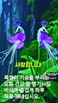 토요일,카톡인사 - ‥‥ⓔ미지 ♡ 자료실 - 향기있는 좋은글 향기있는 좋은글